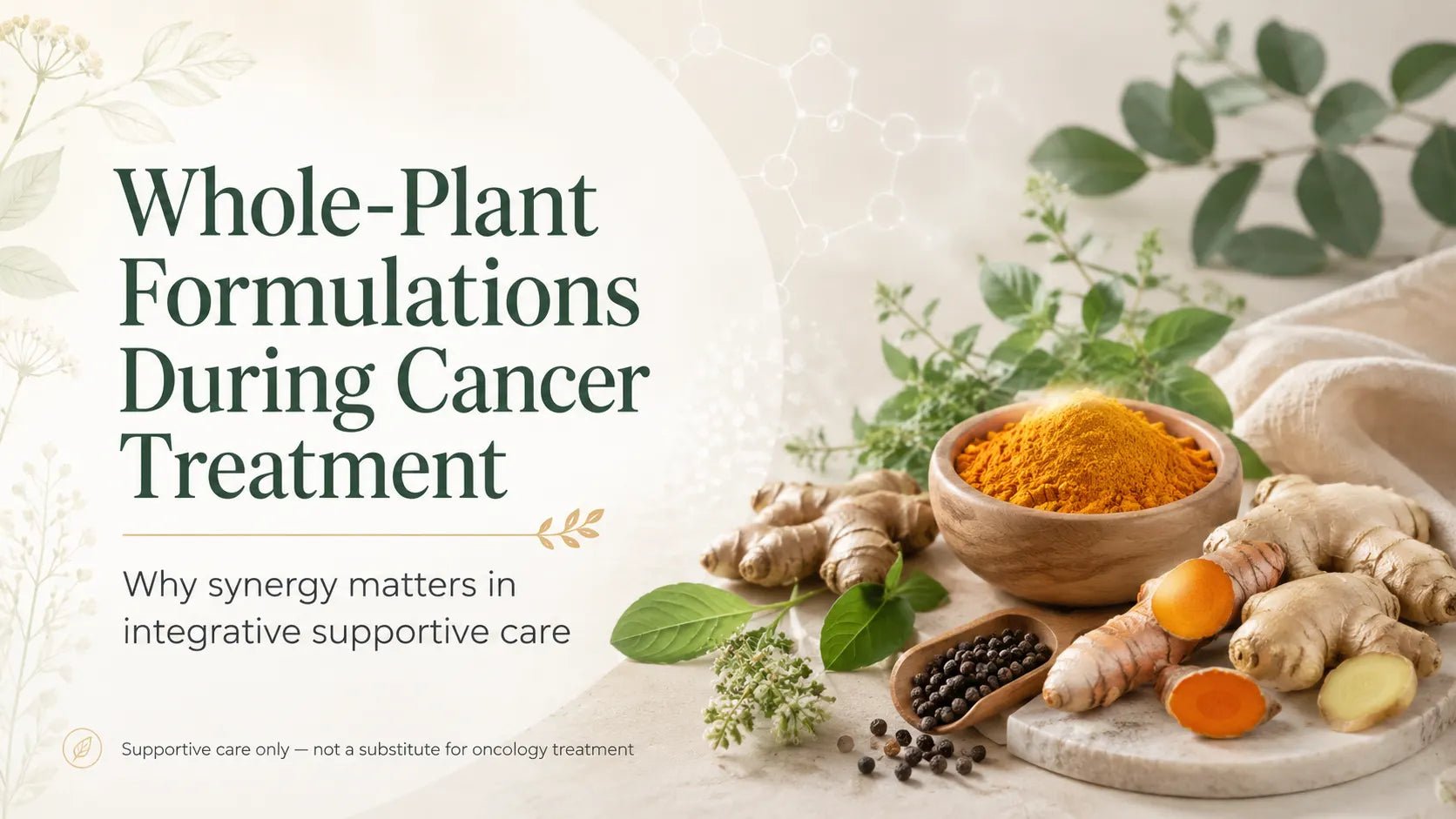 Why Whole-Plant Formulations Work Better Than Single Herbs in Integrative Cancer Care - Mamosure